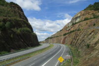 Cute the road